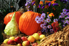 Fruit, Flowers and Vegetables