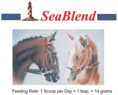 SeaBlend